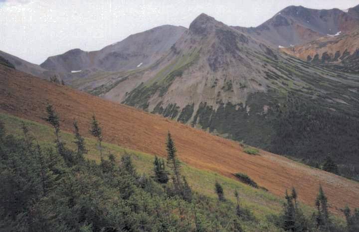 Finlay Minerals - Atty gossan looking south with Kemess North deposit in background-min.jpg