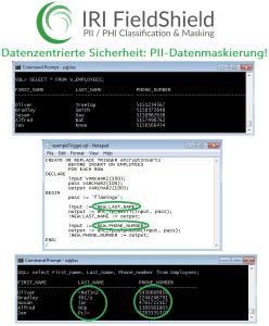 IRI FieldShield ist ein robustes Startpunkt Datensicherheits-, Datenschutzgesetz- und Testdaten-Bereitstellungspaket, das personenbezogene Daten (PII) in mehreren Datenbanktabellen und strukturierten (Flat-File oder komprimierten) Dateiformaten - vor Ort oder in der Cloud, statisch oder als Streaming - mit einer oder mehreren Datenmaskierungsfunktionen findet, klassifiziert und konsistent abschirmt.