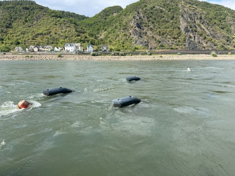 2025-10-20_Drei Energyfische schwimmen bereits im Rhein © Energyminer GmbH.jpeg