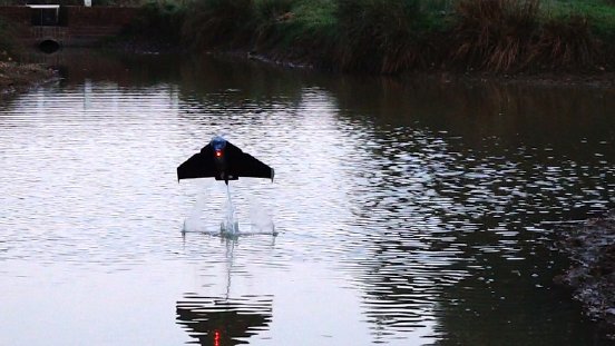 Stopperbild Roboter Wasser.jpg