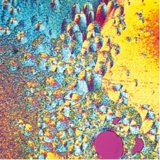 Würzburg: Eine Jubiläumsveranstaltung beim Kunststoff-Zentrum