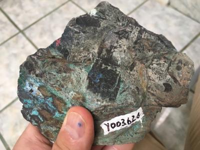 Mineralized hand sample from the Ecuador Project of shale with prominent carbonized plant stem and leaf fragments. This sample assayed 6.37% copper and 48.04 g/t silver