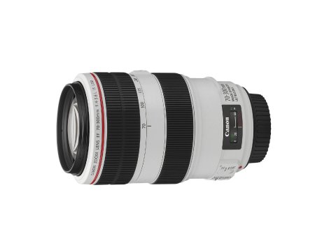EF 70-300mm L IS USM FSL w CAP.jpg