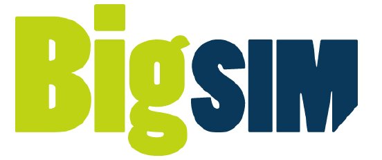 Logo_BigSIM_gr.jpg