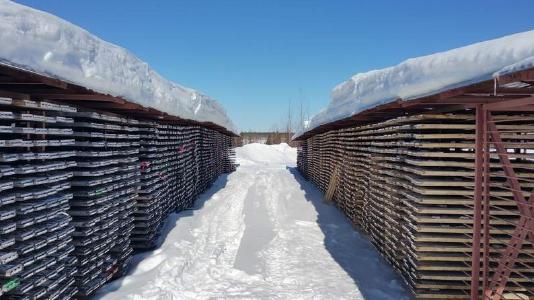 Bohrkernregal im Schnee