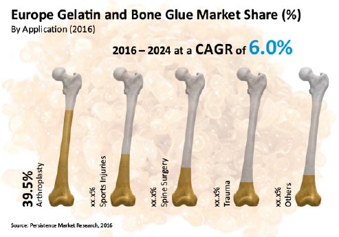 europe-gelatin-and-bone-glue-market.jpg