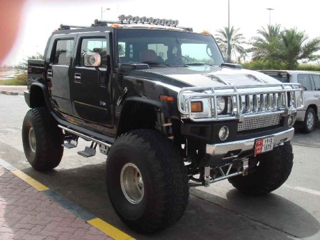 Hummer Bild2.jpg