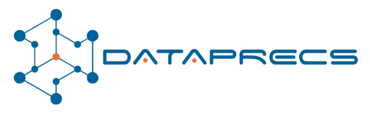 dataprecs logo web.png