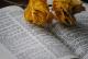 Bible-Domains - die Domains zum Reformationstag