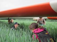 Schüler im Windpark