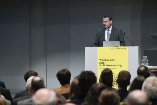 1024-683-max (2).jpg