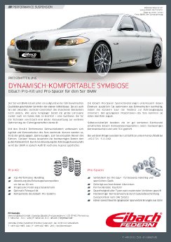 Eibach_BMW_5er_D.pdf