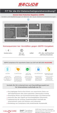 GER_Infographic-data-protection_SECUDE.jpg