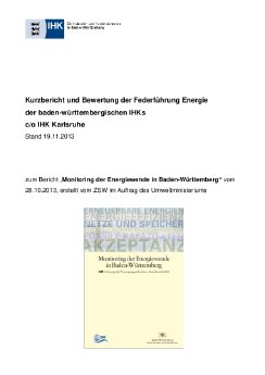 164Bewertung Monitoring.pdf