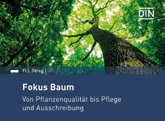 Cover_Fokus-Baum_web_Beuth3.jpg