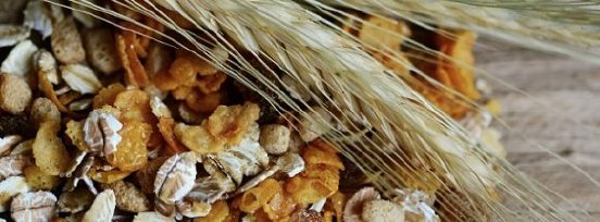 cereals-2437808_1280-581x215.jpg