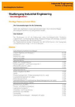Industrial_Engineering_Factsheet.pdf