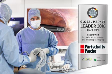 Richard Wolf receives "Global Market Leader 2018" award