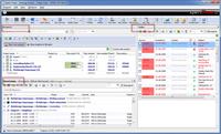 project manager
