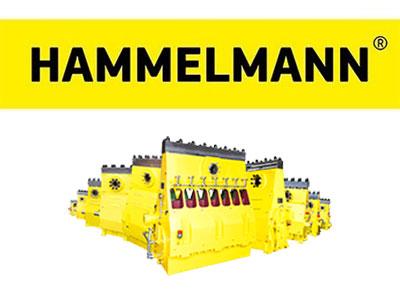 hammelmann.jpg