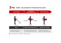 XAMS produktive Testsimulation (pTs)