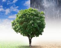 Wie müssen Infrastrukturen geplant werden, um den Folgen des Klimawandels wirksam zu begegnen? Antworten gibt es bei der Klimafachtagung von verschiedenen Referenten.