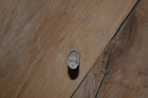 13-Haupthaus_Tragwerksverbindung_durch_Eichennagel_DSC_8617_az.JPG
