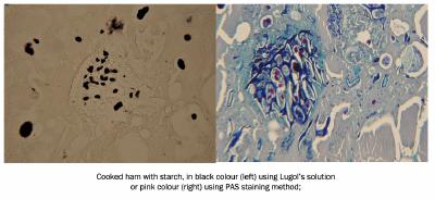 Cooked ham with starch, in black colour (left) using Lugol’s solution
or pink colour (right) using PAS staining method;