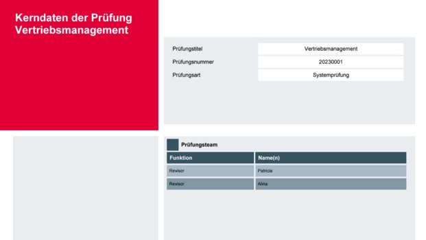 csm_revisionsbericht_-_kerndaten_der_pruefung_5507fa3e54.png