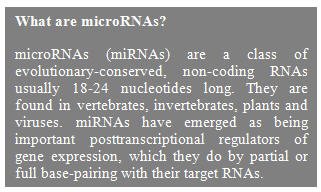What are microRNAs.jpg