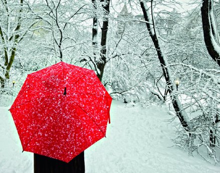 Andy Marcus, NYC Central Park, February 2010.jpg