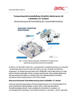 BMC Solutions_Fachartikel_LoRaWAN_240524.pdf