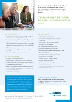 Mitarbeiter Technischer-Berater-ERPBI.pdf