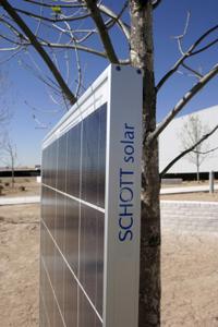 PV Panel with Plant in background