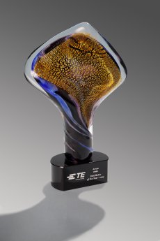 TE Award.jpg