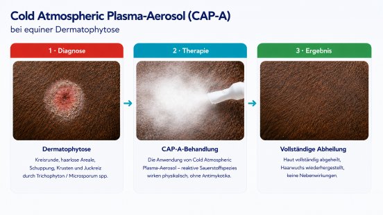 6a980a3b3e8b196e3cce7a6c_CAP-A_Infografik_Nebel-verstaerkt.png