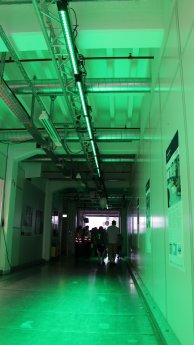IMG_0735_web.jpg