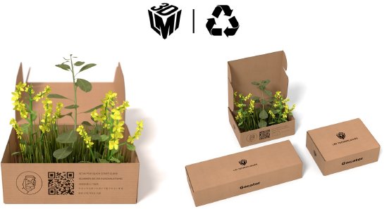 Eco Packaging.jpg