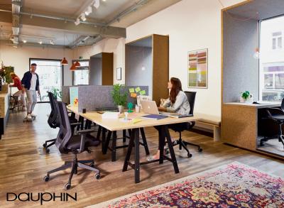 Dauphin to-sync Work Mesh Bürostuhl - Anwendung Office