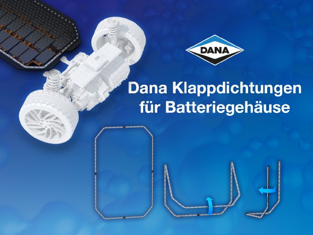 Dana-Battery-Housing-Gasket_DE.jpg
