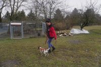 Stadtwerke-Mitarbeiterin  im Weimarer Tierheim mit Foxi beim spazierengehen