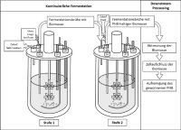 Schematic representation of the continuous manufacturing process