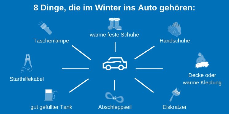 Infografik Winter Auto 1.jpg