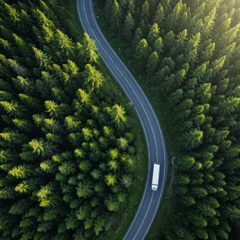 lkw-im-gruenen-wald.webp