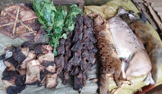 Bushmeat-2_2400x1400-960x560.jpg