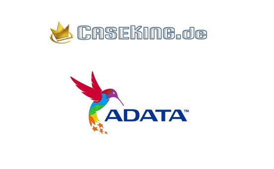 ADATA_Caseking[1].jpg