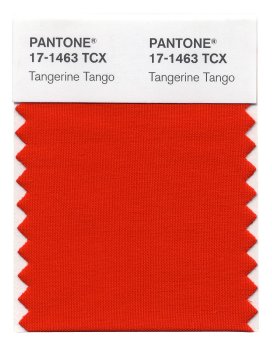 Tangerine Tango PANTONE 17-1463.JPG