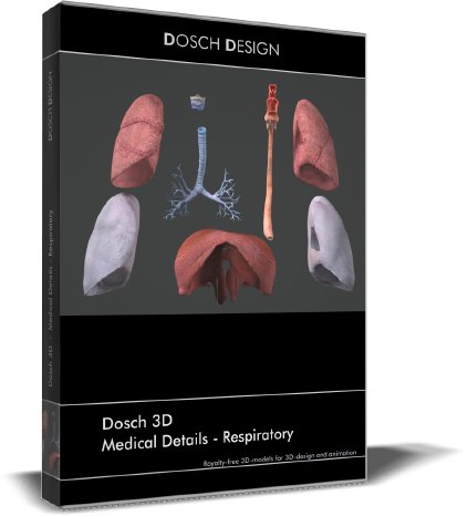 D3D-MedicalDetails-Respiratory.jpg