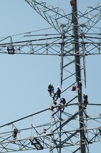 Electricity grids by TenneT