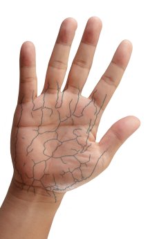 GraphStock_handfront-Venenmuster.jpg